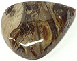 Bois Fossilis�