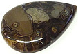 Bois Fossilis�
