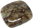 Bois Fossilis�