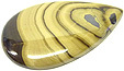 Blende-Gal�ne