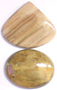 Bois Fossilis�