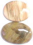 Bois Fossilis�