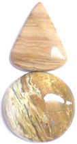 Bois Fossilis�