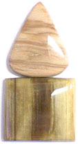 Bois Fossilis�