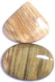 Bois Fossilis�