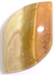 Bois Fossilis�