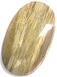 Bois Fossilis�