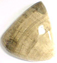 Bois Fossilis�
