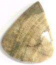 Bois Fossilis�