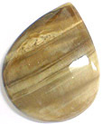 Bois Fossilis�