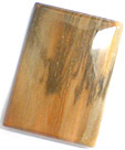 Bois Fossilis�