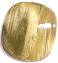 Bois Fossilis�