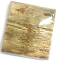 Bois Fossilis�