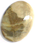 Bois Fossilis�