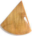 Bois Fossilis�