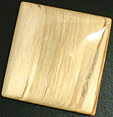 Bois Fossilis�