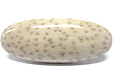 Bois de Palmier fossilis�