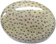 Bois de Palmier fossilis�