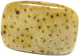 Bois de Palmier fossilis�