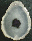Calc&eacute;doine &agrave; inclusions