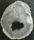 Calc&eacute;doine &agrave; inclusions
