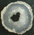Calc&eacute;doine &agrave; inclusions