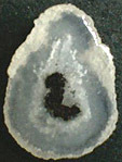 Calc&eacute;doine &agrave; inclusions