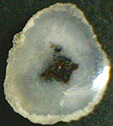 Calc&eacute;doine &agrave; inclusions