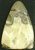 Calcite-Pyrite