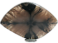 Chiastolite