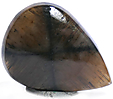 Chiastolite