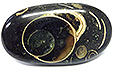 Colus Fossilis�