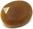 Corozo (noix de)