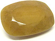 Corozo (noix de)