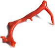 Corail
