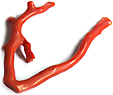 Corail