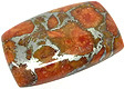 Corail Eponge