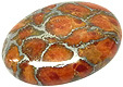 Corail Eponge
