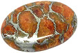 Corail Eponge