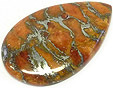 Corail Eponge