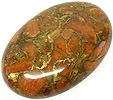Corail Eponge