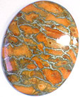Corail Eponge