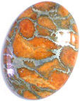 Corail Eponge