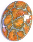 Corail Eponge