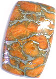 Corail Eponge