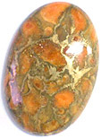 Corail Eponge