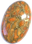 Corail Eponge