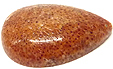 Corail Eponge