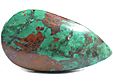Chrysocolle Chrysocolle