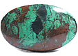 Chrysocolle Chrysocolle
